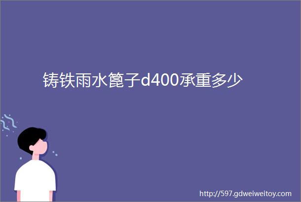 铸铁雨水篦子d400承重多少